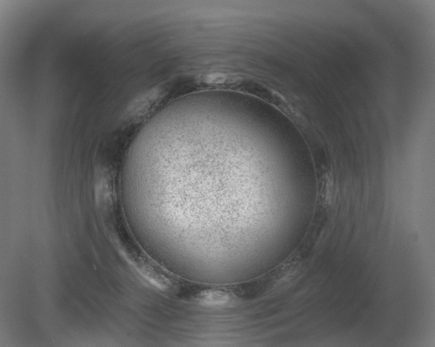 X0000080100272200612151629