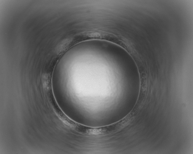 X0000080100273200612151629