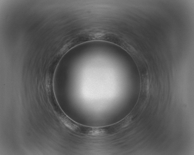 X0000080100274200612151629