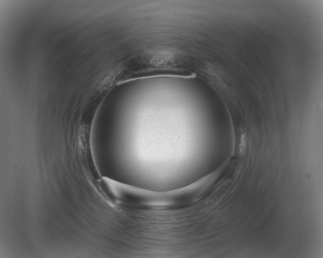 X0000080100280200612151629