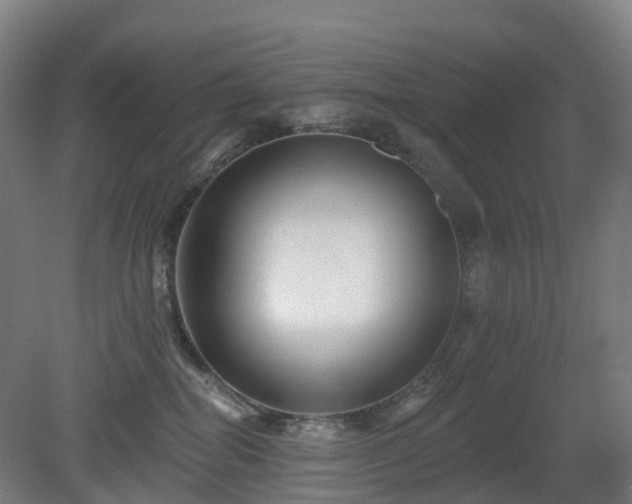 X0000080100282200612151629