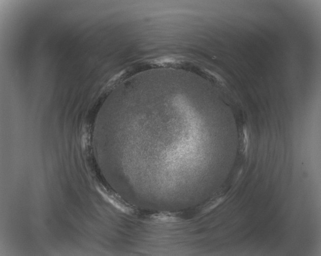 X0000080100284200612151629