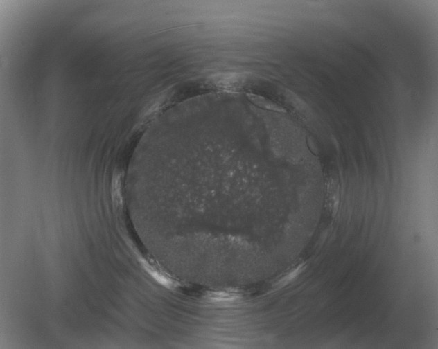 X0000080100286200612151629