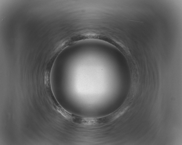 X0000080100288200612151629