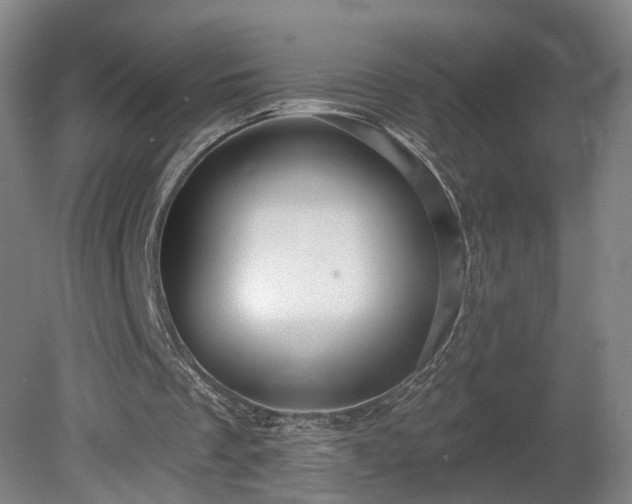 X0000080100289200612151628