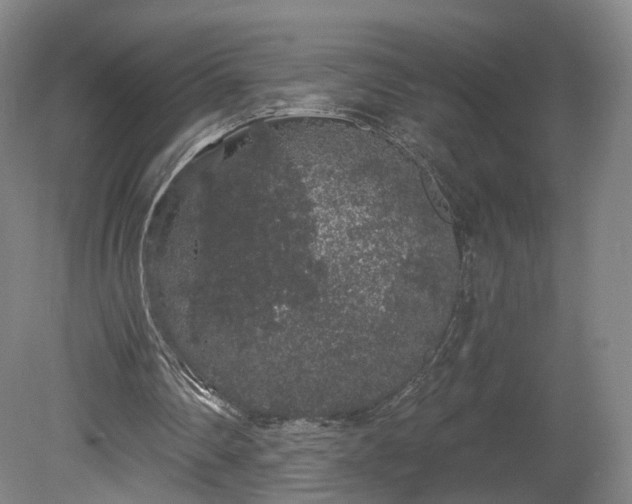 X0000080100290200612151628