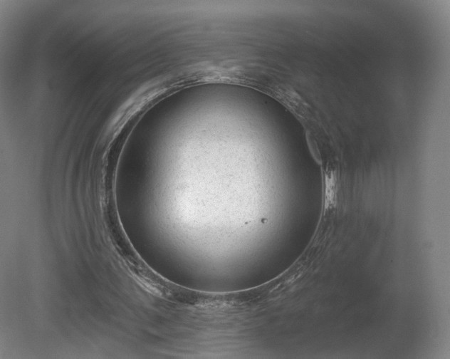 X0000080100291200612151628