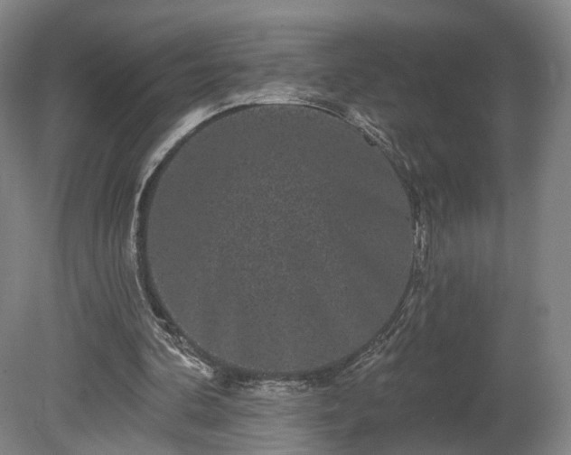 X0000080100292200612151628