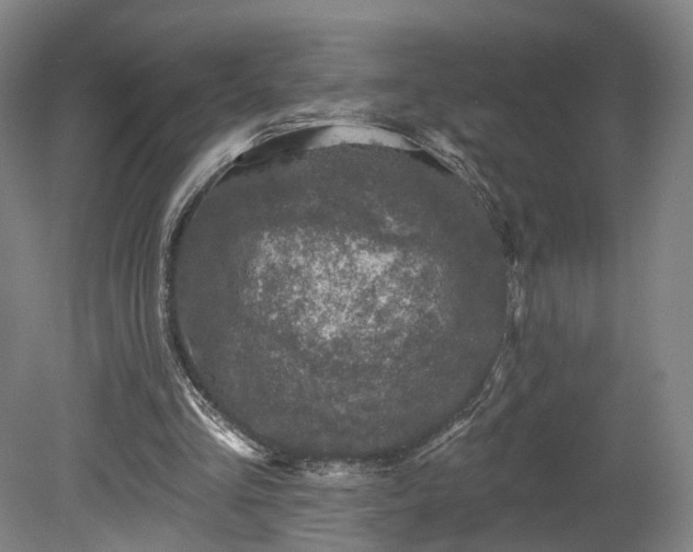 X0000080100293200612151628