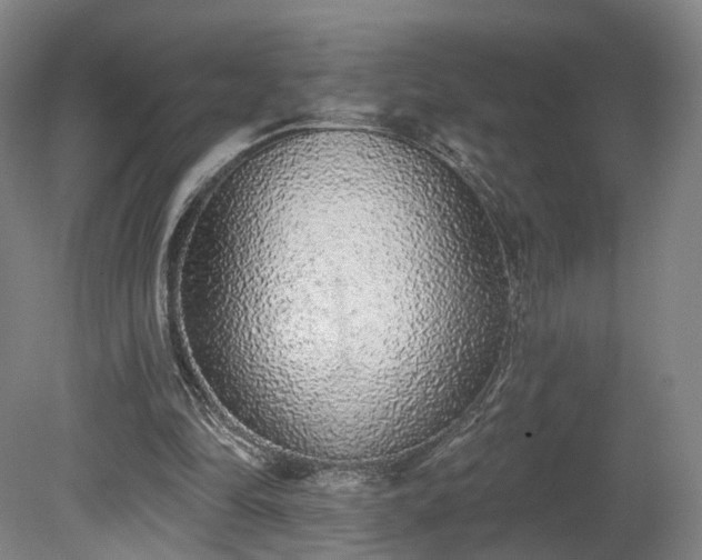 X0000080100294200612151628