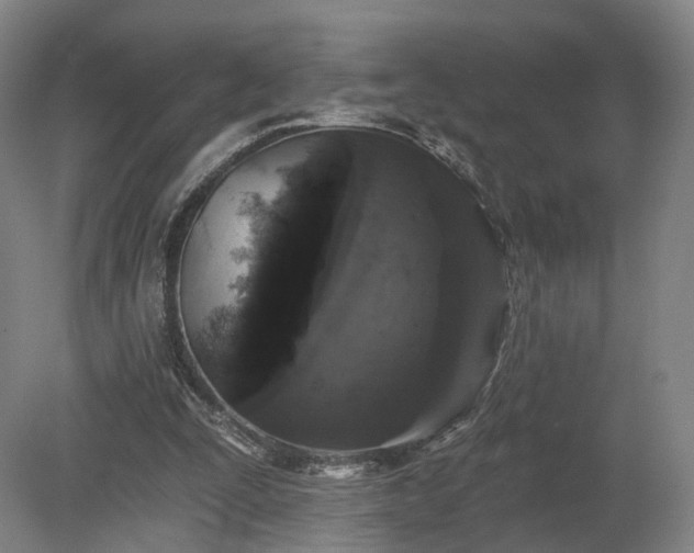 X0000080100295200612151628