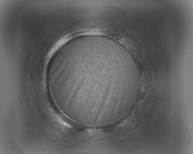 X0000080100296200612151628