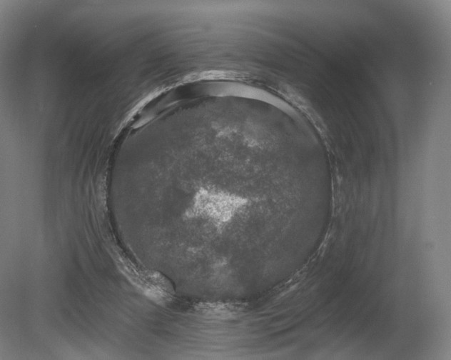 X0000080100297200612151628