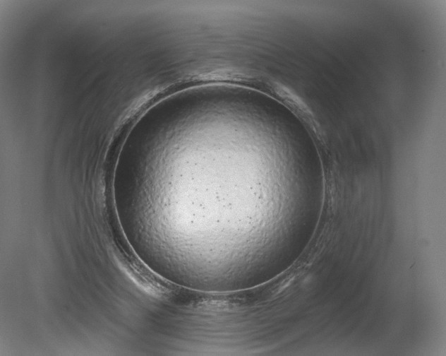 X0000080100298200612151628