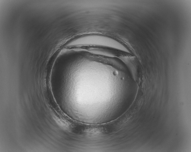 X0000080100299200612151628