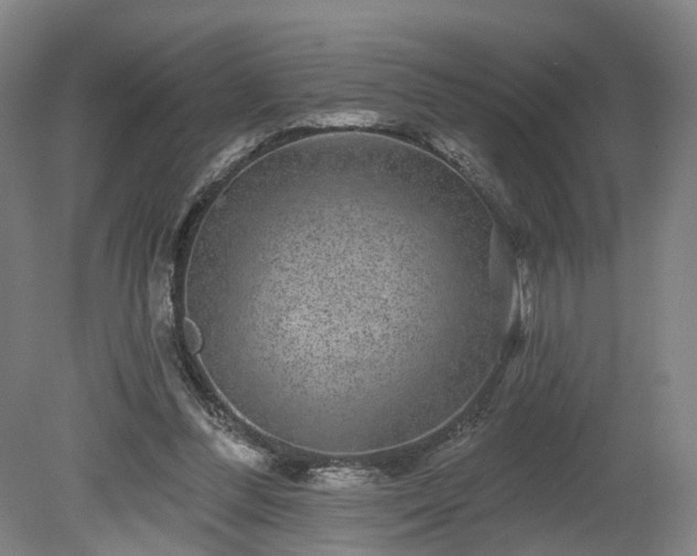 X0000080100300200612151628