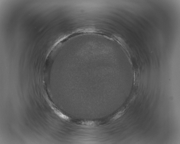 X0000080100301200612151628