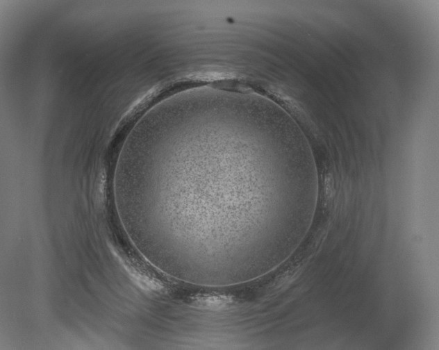 X0000080100304200612151628