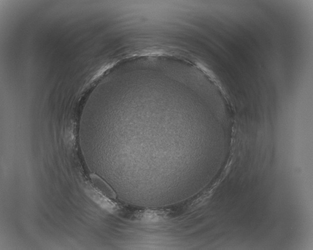 X0000080100305200612151628