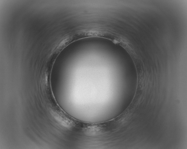 X0000080100310200612151628