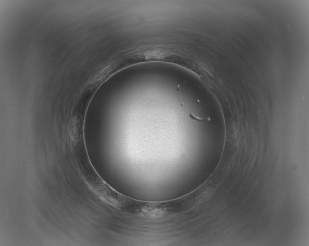 X0000080100311200612151628