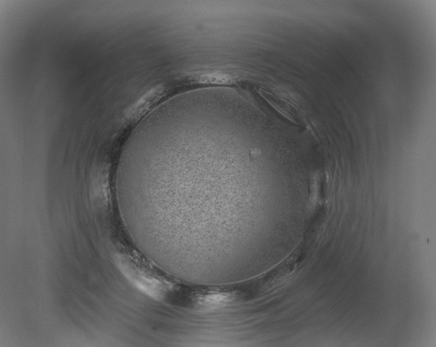 X0000080100312200612151628