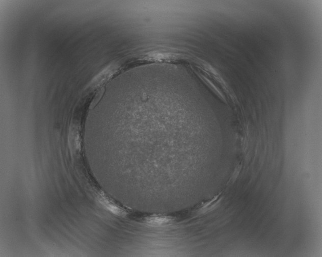 X0000080100313200612151628