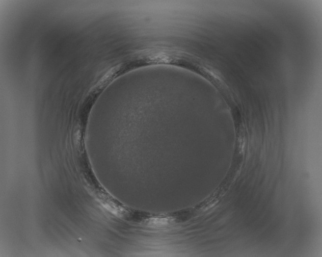 X0000080100314200612151628