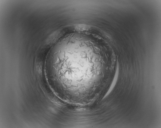 X0000080100315200612151628