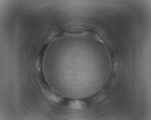 X0000080100316200612151628