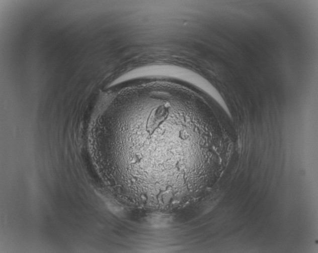 X0000080100319200612151627