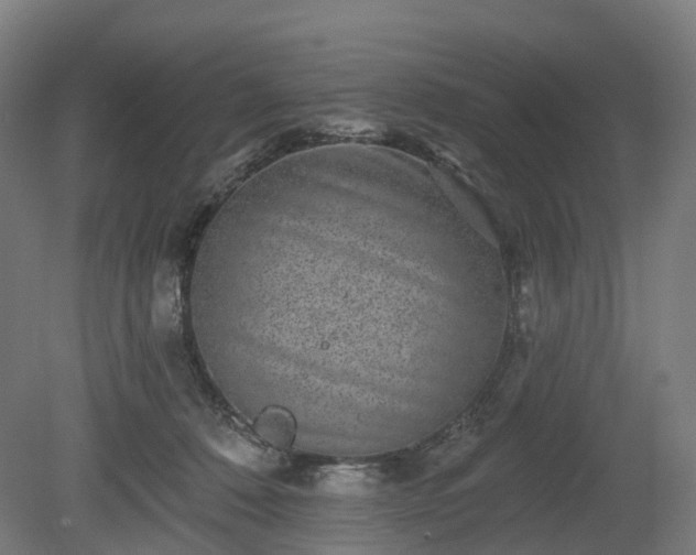 X0000080100320200612151627