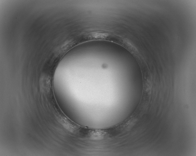 X0000080100321200612151627