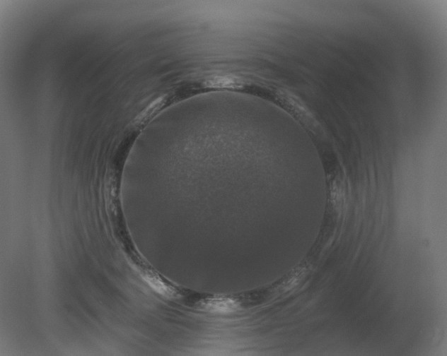 X0000080100322200612151627