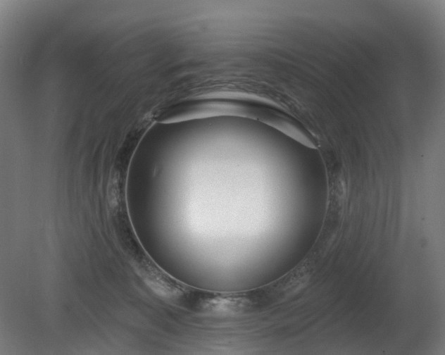 X0000080100323200612151627