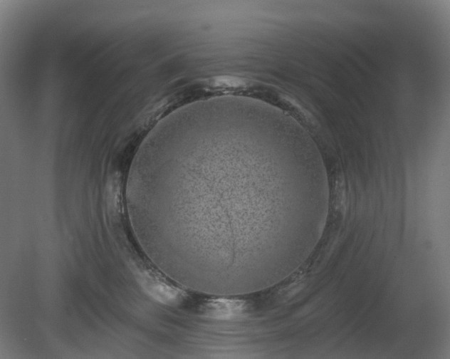 X0000080100328200612151627