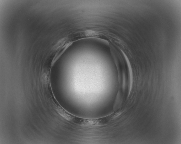 X0000080100329200612151627