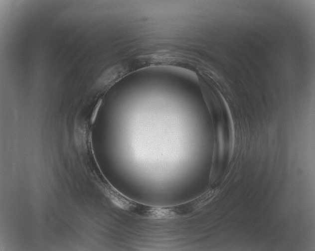 X0000080100333200612151627