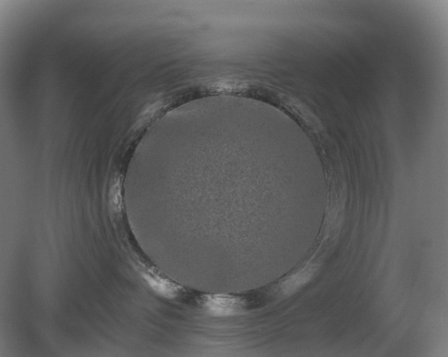 X0000080100336200612151627