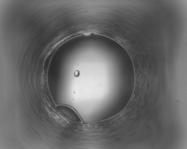 X0000080100338200612151626