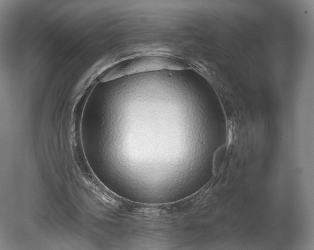 X0000080100339200612151626