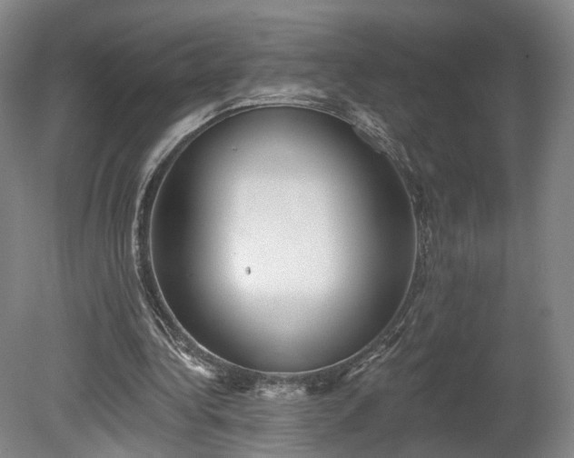 X0000080100340200612151626