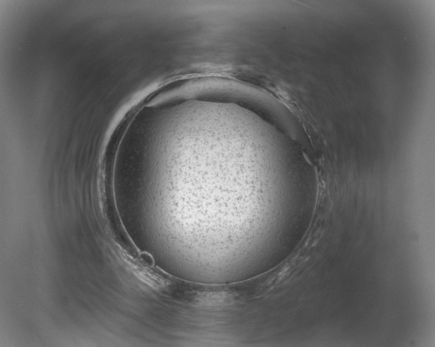 X0000080100342200612151626