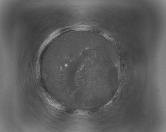 X0000080100343200612151626