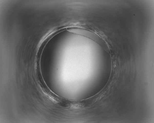 X0000080100344200612151626