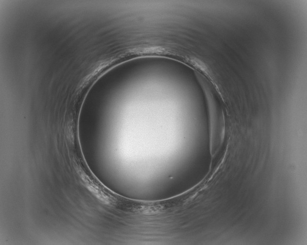 X0000080100345200612151627