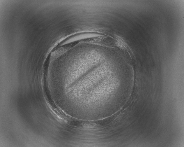 X0000080100346200612151627