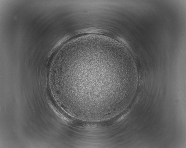 X0000080100349200612151627