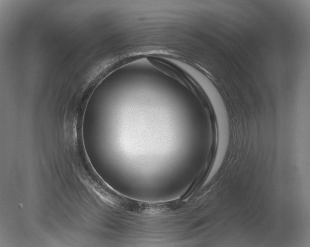 X0000080100350200612151627