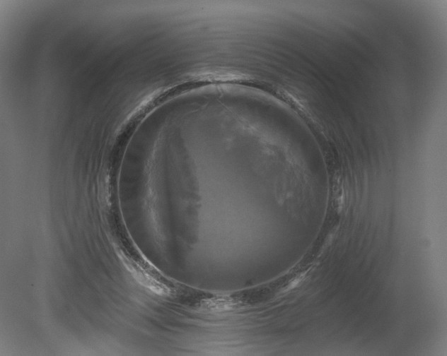 X0000080100351200612151627